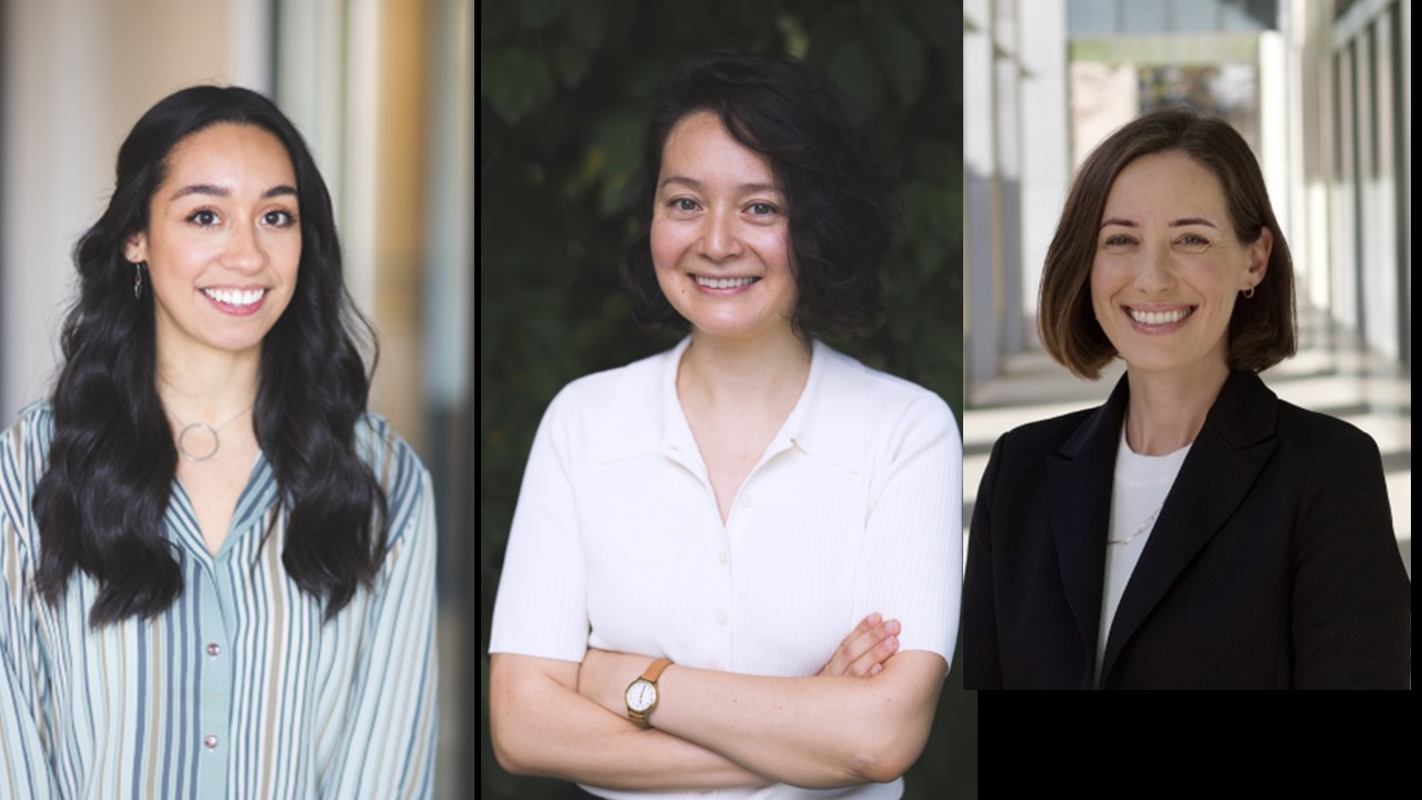 new faculty 2024